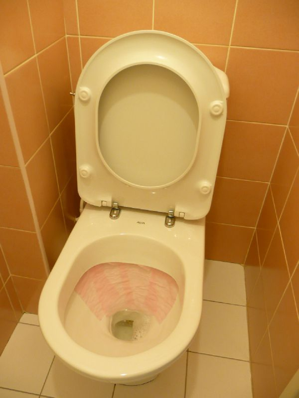 Faire Disparaître Les Traces Jaunes Sur Les Parois Des concernant Comment Nettoyer Le Fond Des Toilettes