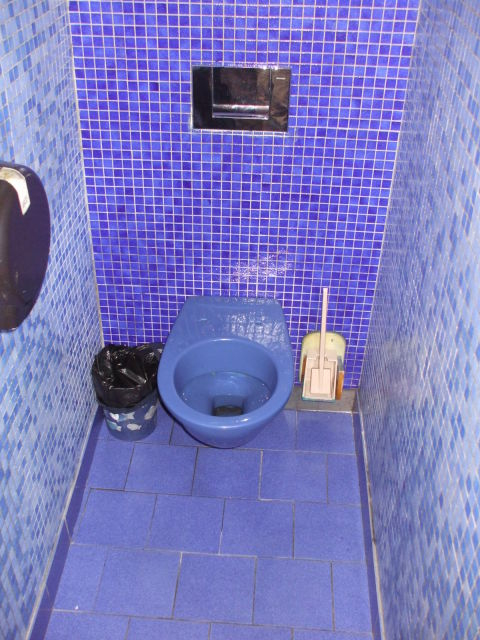 French Toilets — Toilets Of The World dedans Toilette A Paris
