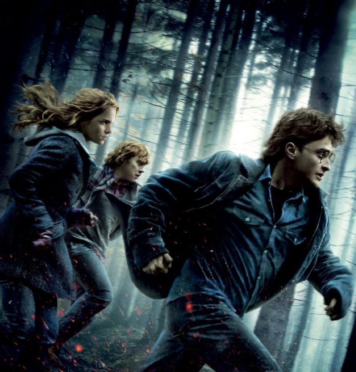 harry potter parselmund harry potter parselmund