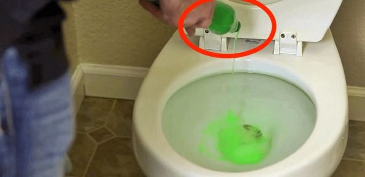 Il Verse Du Liquide Vaisselle Dans Les Toilettes. Pourquoi intérieur Toilettes Bouchées Il Verse Du Liquide Vaisselle Dans Les Toilettes. Pourquoi intérieur Toilettes Bouchées