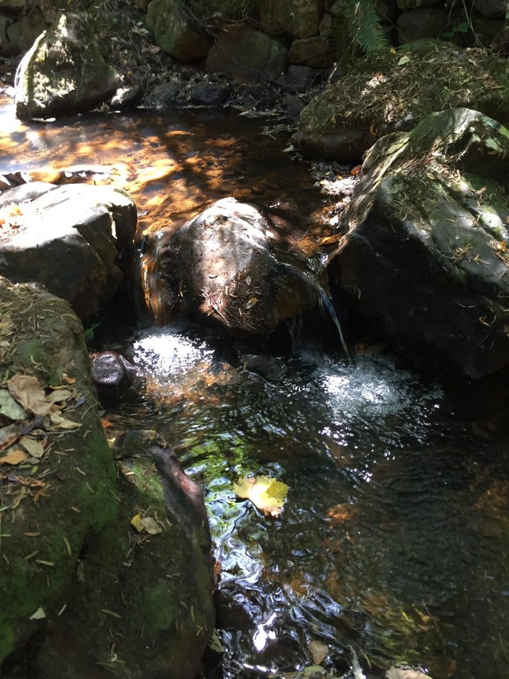 Img_1272 – Centre Franco Portugais destiné Chemin Portugais Par La Cote