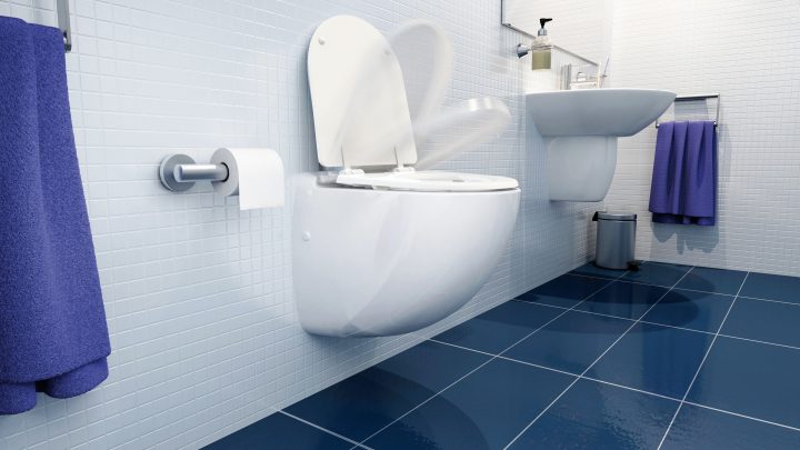 Inodoro Con Triturador Incorporado Sfa Sanicompact Confort intérieur Broyeur Toilette
