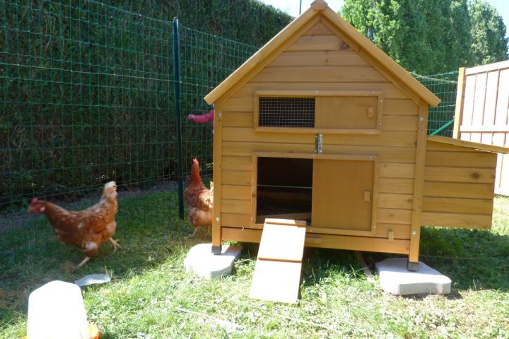 Installation Poulailler Estaires avec Chemin Des Poulailler