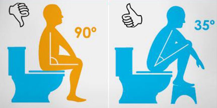 La Bonne Position Pour Aller Aux Toilettes {Et En Finir concernant Aliment Pour Aller Au Toilette