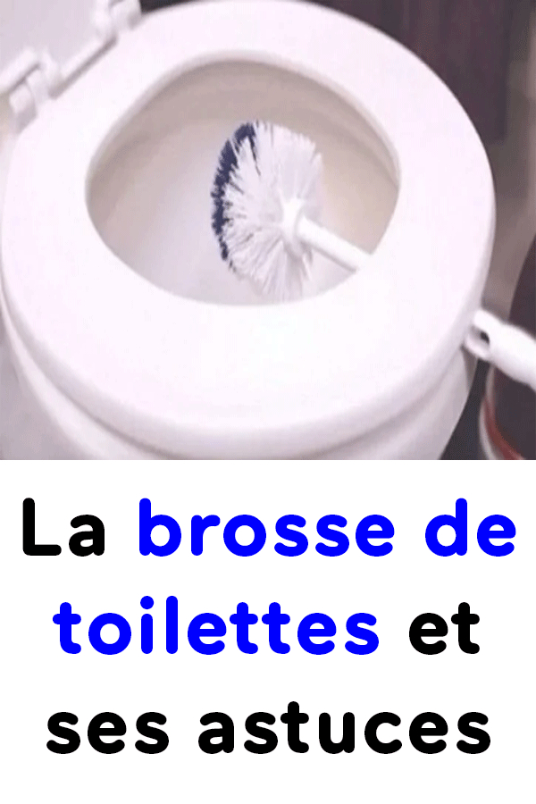 La Brosse De Toilettes Et Ses Astuces | Brosse Toilette avec Nettoyer Ses Toilettes La Brosse De Toilettes Et Ses Astuces | Brosse Toilette avec Nettoyer Ses Toilettes