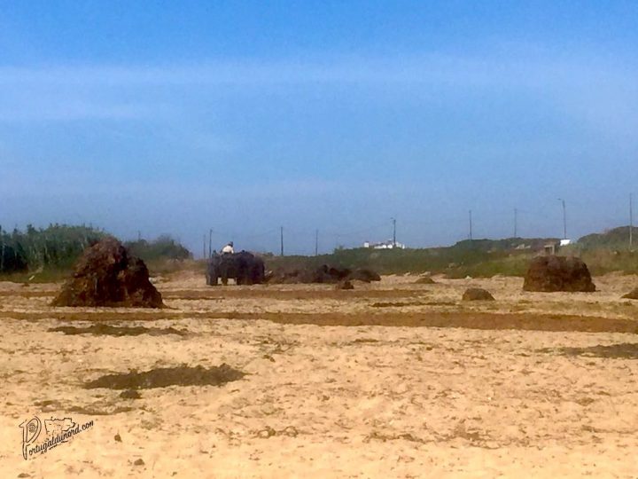 La Côte Nord Du Portugal – Portugaldunord encequiconcerne Chemin Portugais Par La Cote