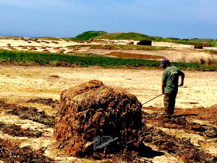 La Côte Nord Du Portugal – Portugaldunord pour Chemin Portugais Par La Cote