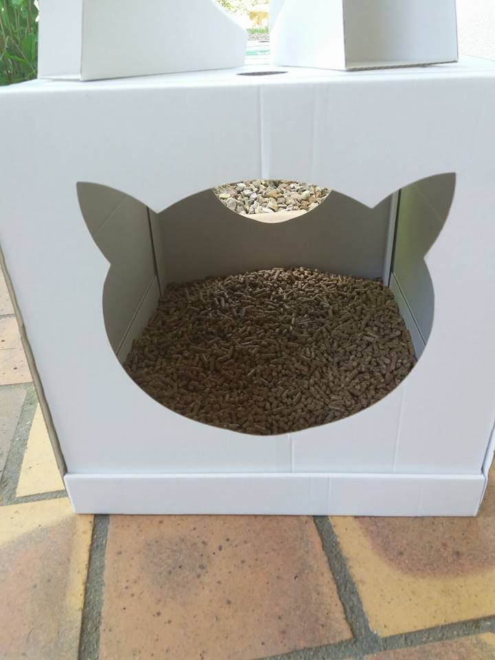 La Maison De Toilette Pour Chat Jetable Petsec De Me-You tout Toilettes Pour Chat