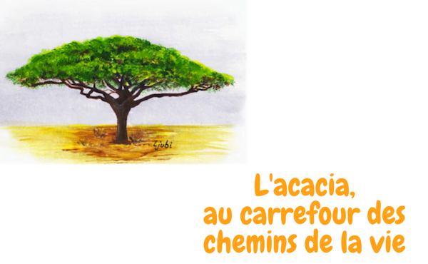 L’acacia Au Carrefour Des Chemins De La Vie – Opus Dei intérieur Carrefour Sept Chemins