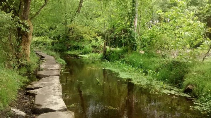 Le Chemin De Compostelle pour Chemin De Compostelle En Espagne