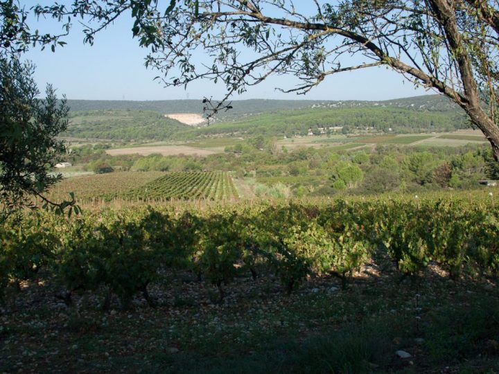 Le Chemin Des Rêves – Vin Bio Pic Saint Loup concernant Chemin Des Reves