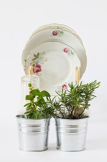 Le Studio Mathery A Créé Scolapianta, Un Égouttoir À serapportantà Douche Dans Un Placard Le Studio Mathery A Créé Scolapianta, Un Égouttoir À serapportantà Douche Dans Un Placard