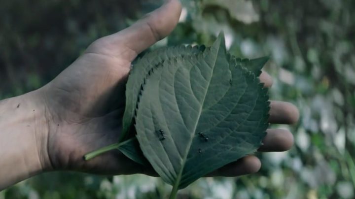 Le Trèfle Vous Met Au Défi De Survivre Sans Papier Toilette dedans Trefle Papier Toilette
