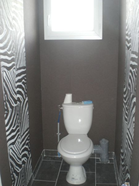Les Toilettes Zèbre – La Maison Phénix De Yannick avec Papier Peint Pour Toilette