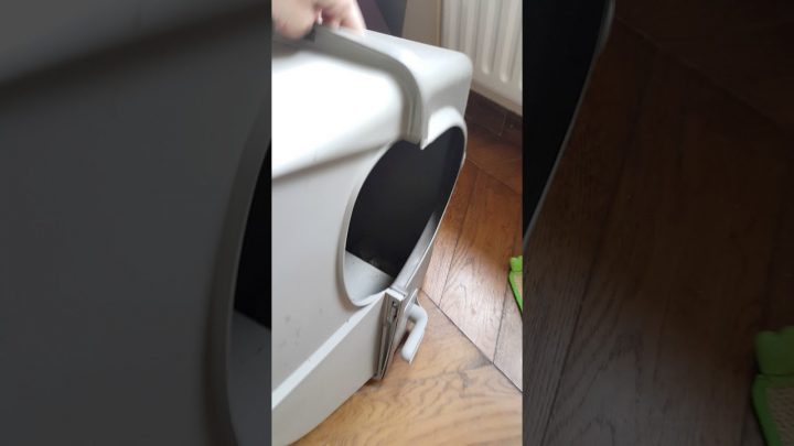 Litière Auto Nettoyante – Maison De Toilette Pour Chat concernant Toilettes Pour Chat