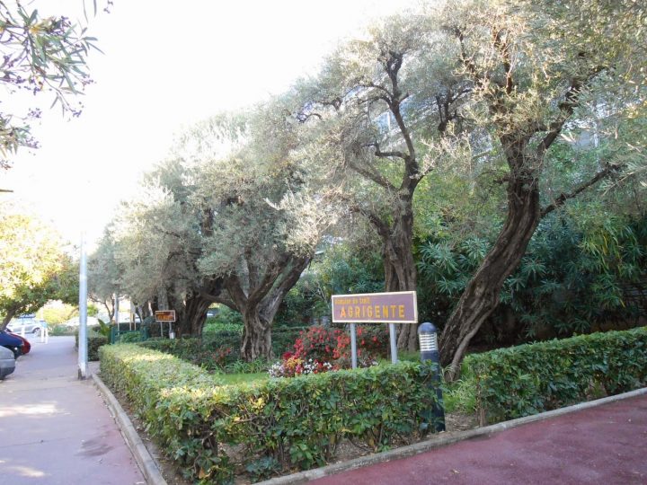 Ma Fenêtre Sur Le Midi: Antibes – Mon Chemin Vers La Plage encequiconcerne Chemin Du Puy Antibes