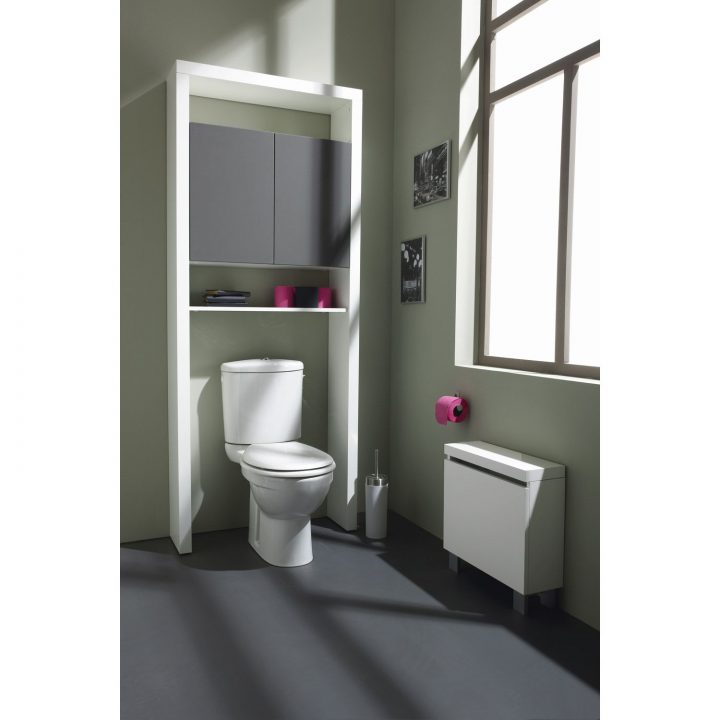 Meuble Toilettes | Meuble Toilette, Meuble Wc, Rangement dedans Douchette Toilette Leroy Merlin