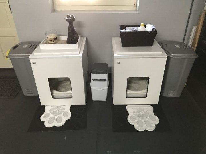 Misonette En Bois – Maison De Toilette Pour Chat – Zooplus serapportantà Maison De Toilette Pour Chat Pas Cher Misonette En Bois – Maison De Toilette Pour Chat – Zooplus serapportantà Maison De Toilette Pour Chat Pas Cher