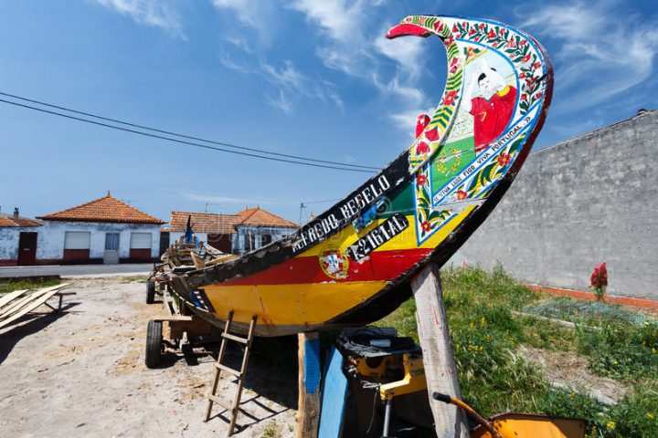 Moliceiros Portugais De Bateau De Pêche, Dans La Cale concernant Chemin Portugais Par La Cote