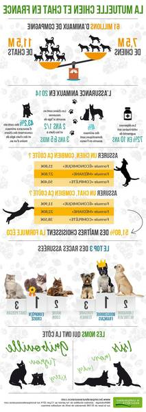 Mutuelle Animaux Bleu Et Mutuelle Animaux Infos tout Combien Coute Un Plombier Pour Deboucher Les Toilettes Mutuelle Animaux Bleu Et Mutuelle Animaux Infos tout Combien Coute Un Plombier Pour Deboucher Les Toilettes