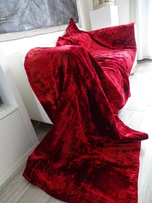 Paire De Tentures Anciennes Velours De Soie Rouge Xixème dedans Rideaux Anciens