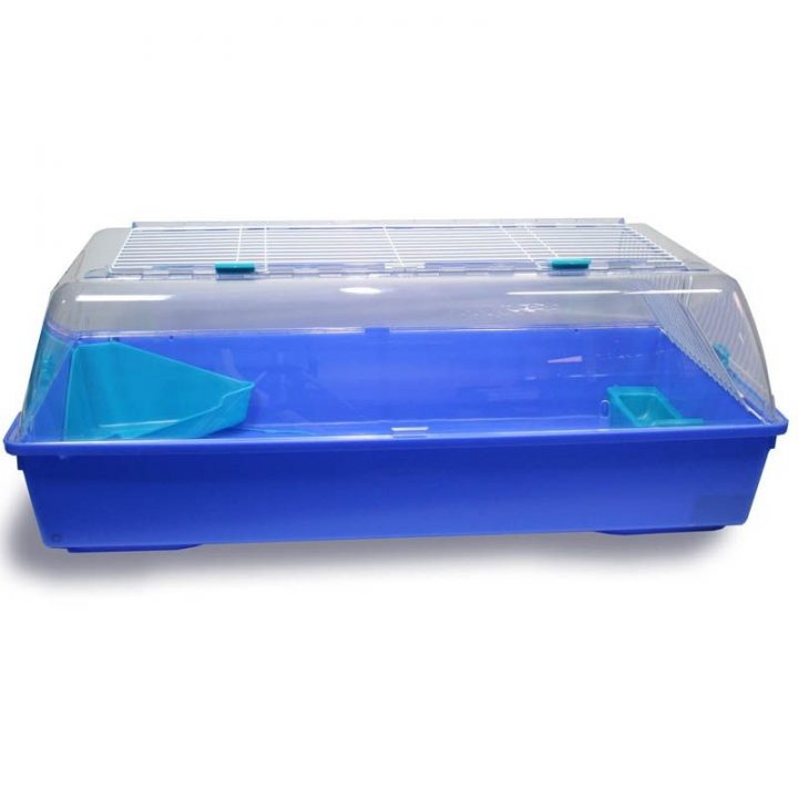 Pecheur, La Peche, Toute La Peche, Et Encore Plus Que tout Furet Toilette Pecheur, La Peche, Toute La Peche, Et Encore Plus Que tout Furet Toilette