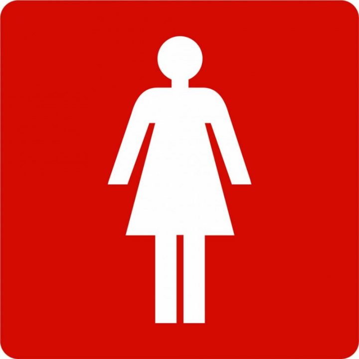 Plaque Porte Picto "Toilettes Femme" Pochoir En Alu Ou Pvc concernant Picto Toilettes
