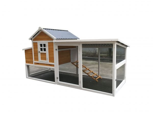 Poulaillers: Petit Poulailler En Tole intérieur Chemin Des Poulailler