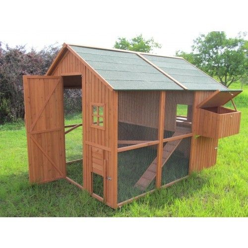 Quelle Taille De Poulailler Choisir à Chemin Des Poulailler