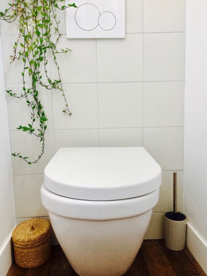 Rénovation Toilettes, Wc Suspendus, Parquet, Plantes encequiconcerne Toilette Seche Interieur Maison