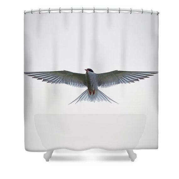 Rideau De Douche Blanc Décor De Salle De Bain Blanc Noir tout Rideau De Douche Noir Et Blanc Rideau De Douche Blanc Décor De Salle De Bain Blanc Noir tout Rideau De Douche Noir Et Blanc