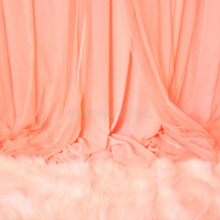 Rideau Et Tapis Roses Image Stock. Image Du Divertissement serapportantà Rideau Fourrure