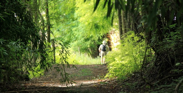 Saint Jacques De Compostelle : Choisir Son Chemin à Chemin De Compostelle En Espagne