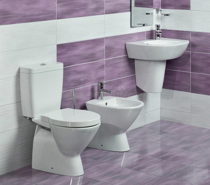 Salle De Bains De Luxe Avec Le Bassin Et Le Bidet De tout Toilette Avec Bidet Intégré Salle De Bains De Luxe Avec Le Bassin Et Le Bidet De tout Toilette Avec Bidet Intégré