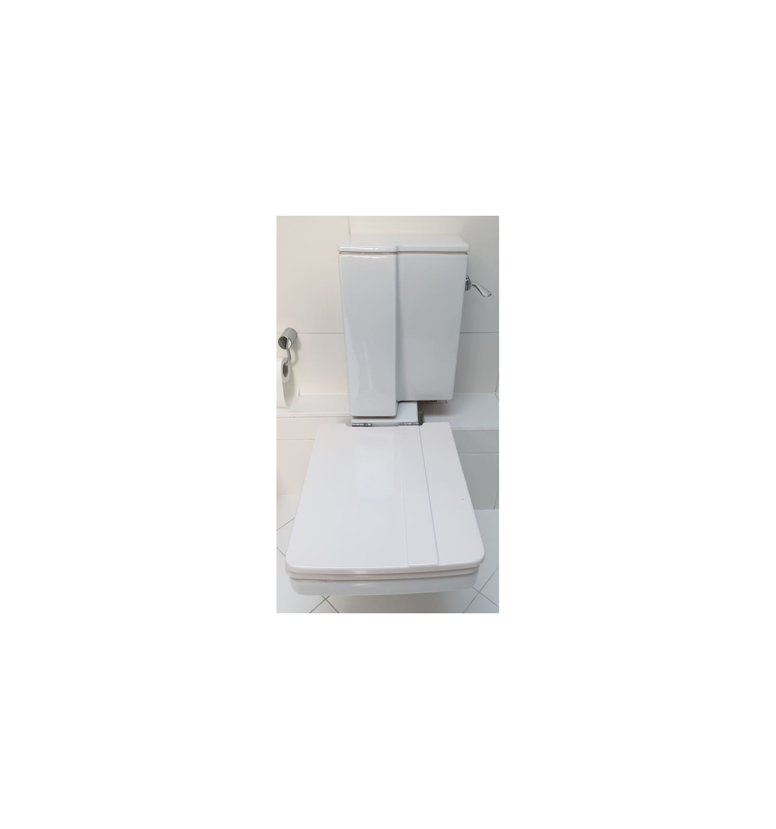 Toilette Selles