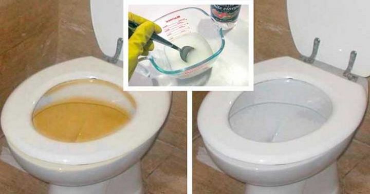 Si Nous Adorons Avoir Une Maison Qui Respire La Propreté destiné Comment Nettoyer Des Toilettes Très Sales