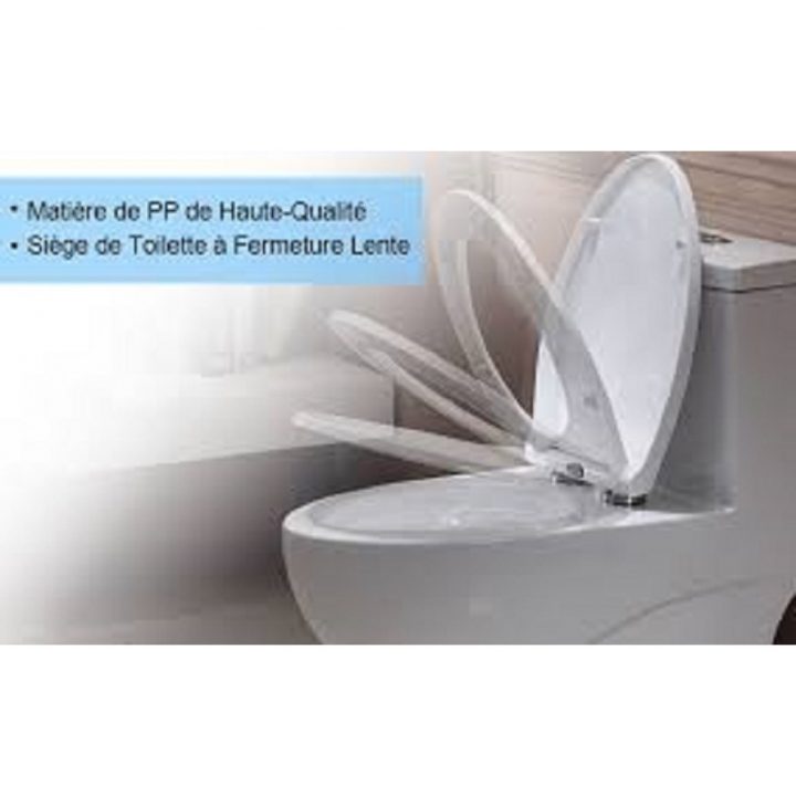 Siège De Toilette pour Siege Toilette Pour Handicapé