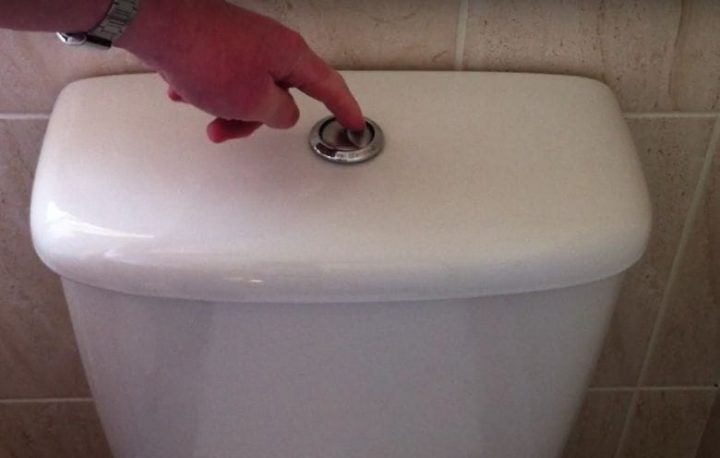 This Is Why You Should Flush The Toilet As Soon As You Get concernant Toilette Flush