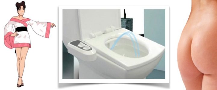 Toilette Japonaise : Vous Avez Déjà Entendu Parler Des encequiconcerne Toilettes Japonaise
