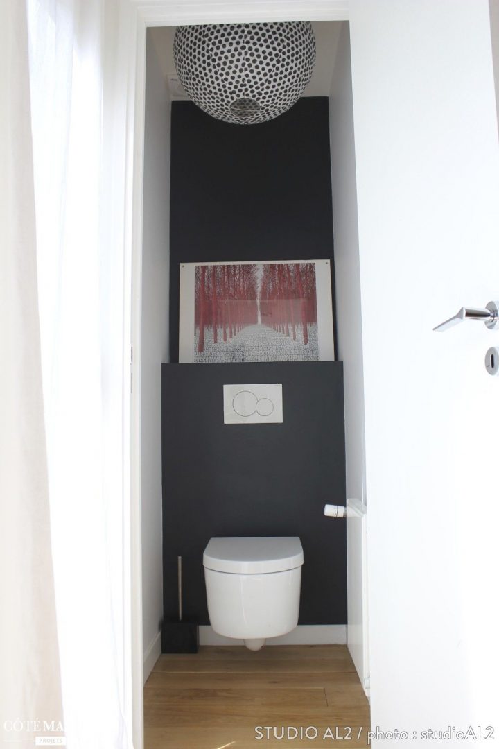 Toilettes Blanches Au Mur Noir. 1 Seul Tableau Décoratif avec Produit Pour Déboucher Les Toilettes