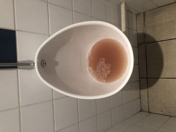 Toilettes Bouchées?Comment Déboucher Des Wc? – Le Blog tout Comment Déboucher Les Toilettes