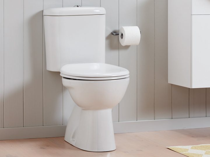 Top 5 Facts: Toilets | How It Works serapportantà Toilette Porcher