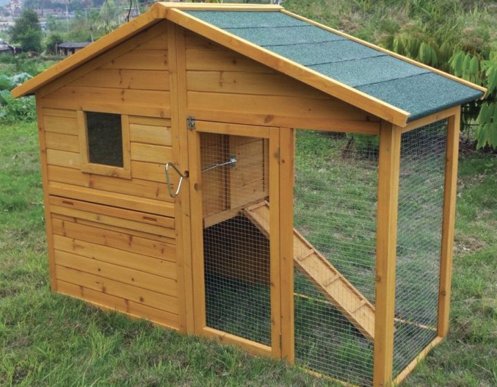 Un Poulailler À La Maison? Facile Avec Le Chemin Des à Chemin Des Poulailler