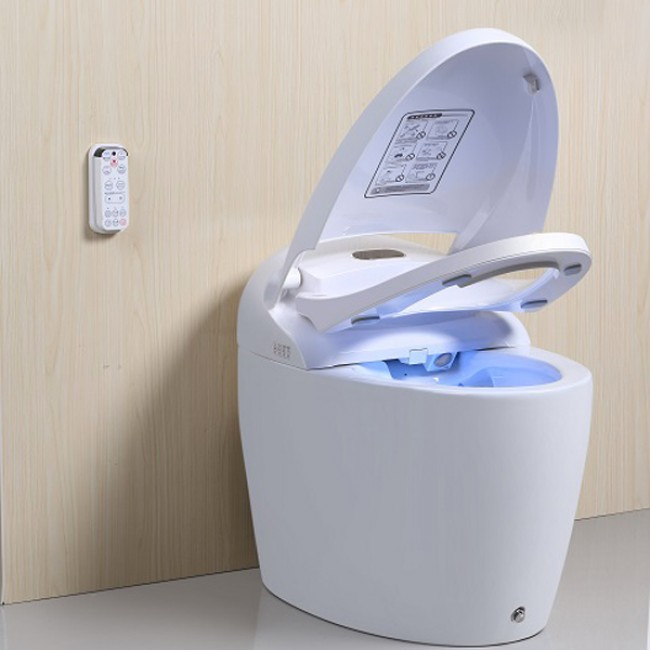 Wc Monobloc Japonais – Chauffant Et Design – Luxe Gold pour Toilettes Japonaise
