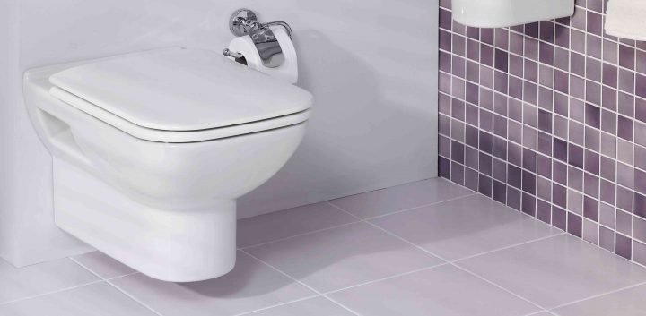 Wc Qui Déborde, Toilettes Bouchées, Problème D’évacuation concernant Toilettes Bouchées Wc Qui Déborde, Toilettes Bouchées, Problème D’évacuation concernant Toilettes Bouchées