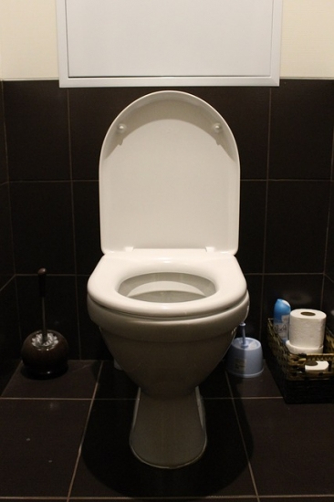 What To Do If There Is No Water In Toilet Bowl – See Jane serapportantà Toilettes Bouchés What To Do If There Is No Water In Toilet Bowl – See Jane serapportantà Toilettes Bouchés