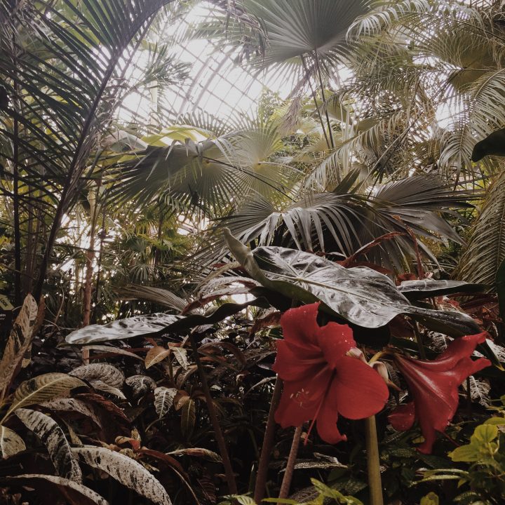 my favorite places my favorite places