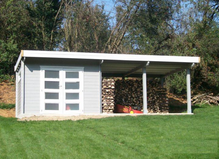 Abri De Jardin Pas Cher Brico Depot – Mailleraye.fr Jardin pour Abris De Jardin Occasion Belgique