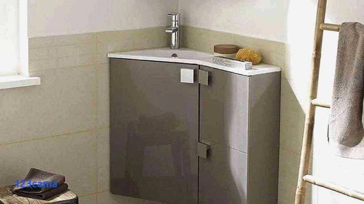 Baignoire D Angle Lapeyre Source D Inspiration Baignoire dedans Baignoire Avec Porte Lapeyre