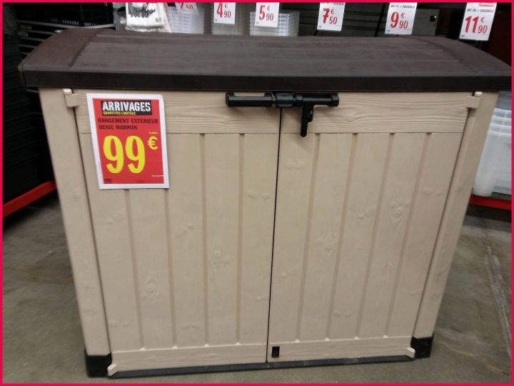 Banc Coffre De Jardin Brico Depot – Passions Photos intérieur Armoire De Rangement Extérieur Castorama